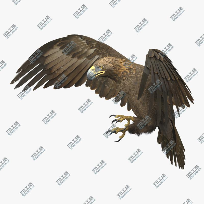 images/goods_img/20210113/Golden Eagle Animated 3D model/1.jpg